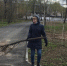 Субботник в городском парке культуры и отдыха им. Пилютова - Управление культуры