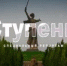 Ступени - Сталинград - Ашинский район