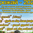 Летние конкурсы - Ашинский район