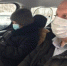 «Единая Россия» предложила сделать бесплатными звонки в ковид-центры и обеспечить специальные тарифы в такси для врачей - Ашинский район