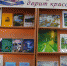 В рамках Всероссийской акции «Библиосумерки» в центральной районной библиотеке прошла литературная гостиная "Стихи как музыка души" - Управление культуры