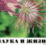 Обзор журнала "Наука и жизнь" - №6. -2024г. - ЦБС Ашинского района