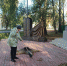 События немирной жизни - ЦБС Ашинского района