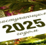 Поздравление с наступающим 2025 годом - Ашинский район