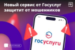 Для защиты от интернет-мошенников на портале госуслуг запустили комплексный сервис «Жизненная ситуация»