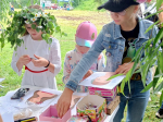 Аграфена Купальница