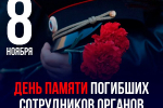 8 ноября - День памяти погибших при выполнении служебных обязанностей сотрудников органов внутренних дел Российской Федерации